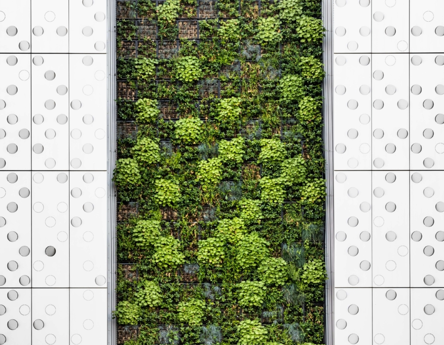 how to develop the best esg strategy